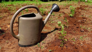 Illustration des exploitations agricoles de Sainte-Marie 2