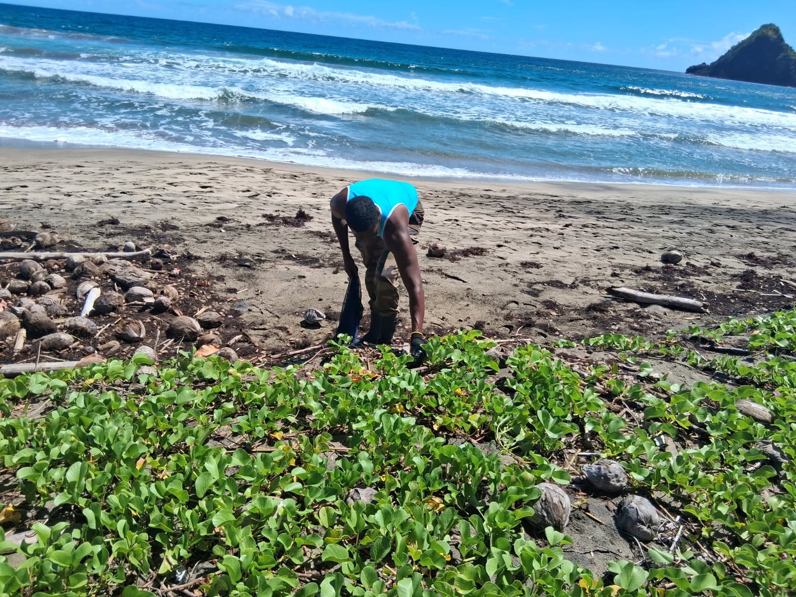 Illustration 3 de l’actualité « OPERATION NETTOYAGE DE PLAGE A ANSE CHARPENTIER »