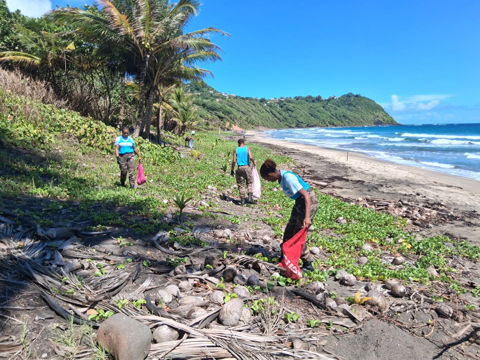 Illustration 2 de l’actualité « OPERATION NETTOYAGE DE PLAGE A ANSE CHARPENTIER »